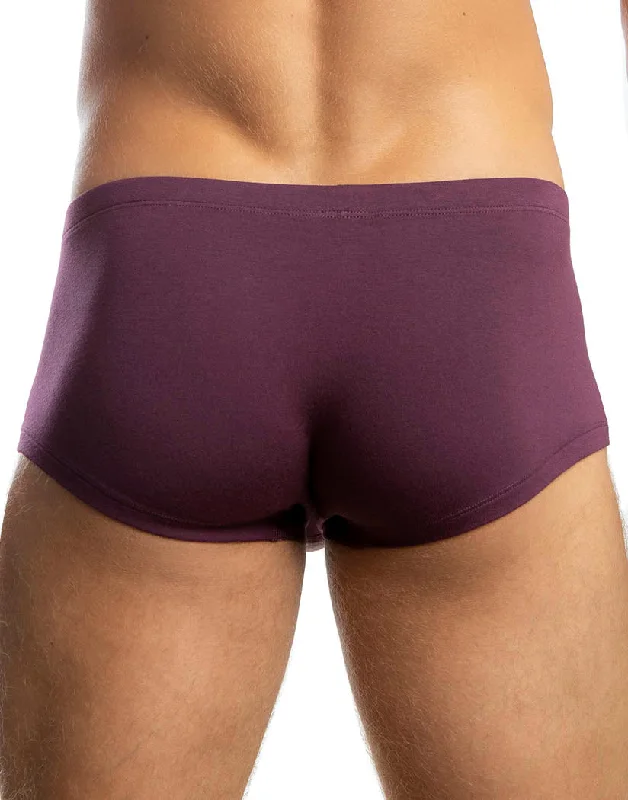 Men's boxer briefs with a moisture - transfer technology​Jack Adams Bikini Boxer Brief Beetroot 401-281