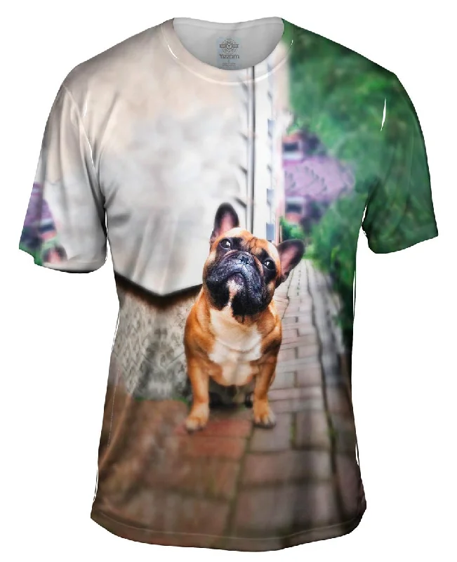Men's v - neck muscle t - shirts for a body - building aestheticWhats That French Bulldog Men's v - neck muscle t - shirts for a body - building aestheticWhats That French Bulldog