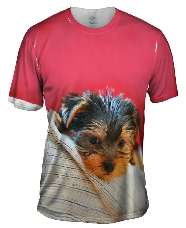 Men's slim - fit graphic t - shirts with vintage rock band printsYorkie On Bed