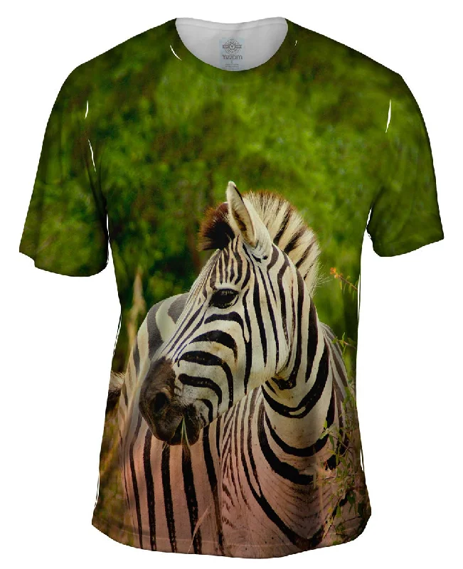 Men's organic cotton crew - neck t - shirts for everyday comfortZebra Africa